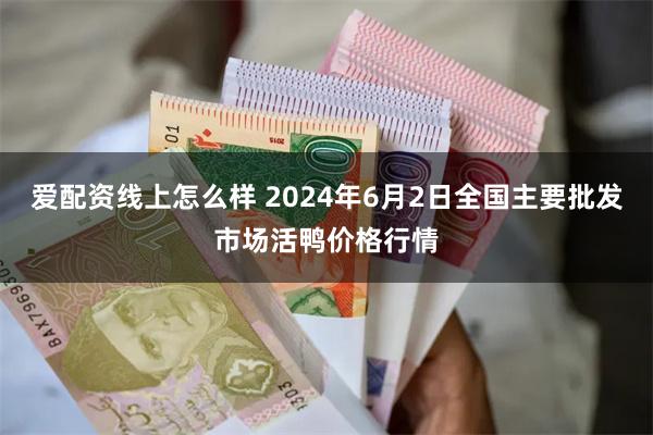 爱配资线上怎么样 2024年6月2日全国主要批发市场活鸭价格行情