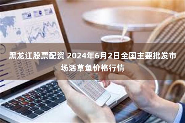 黑龙江股票配资 2024年6月2日全国主要批发市场活草鱼价格行情