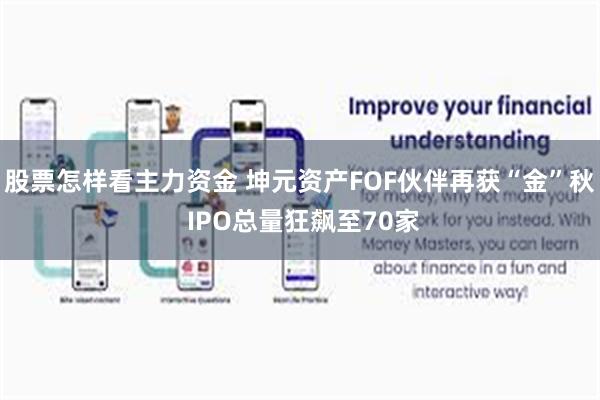 股票怎样看主力资金 坤元资产FOF伙伴再获“金”秋 IPO总量狂飙至70家